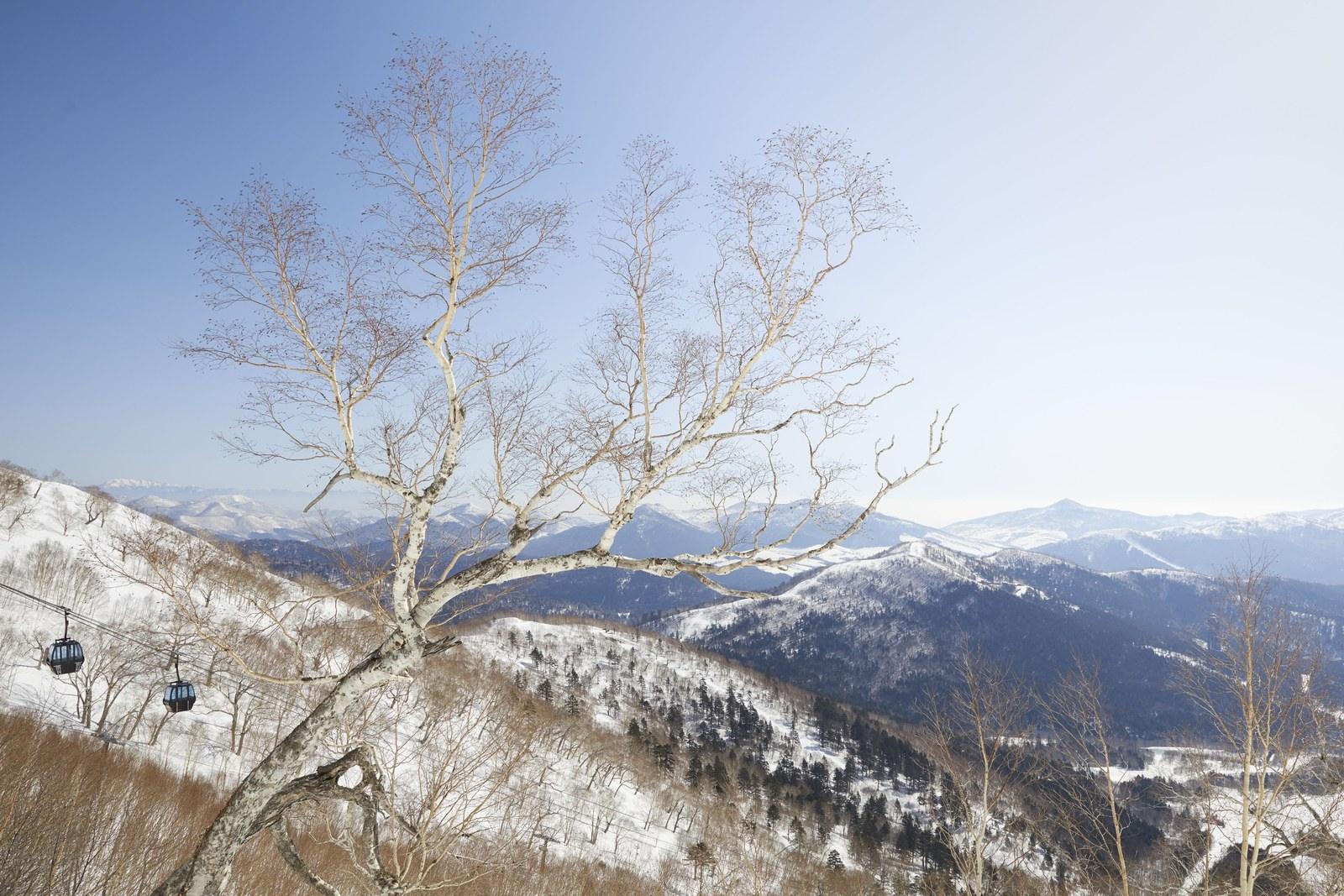 Snow-covered mountain scenery and gondolas at Tomamu